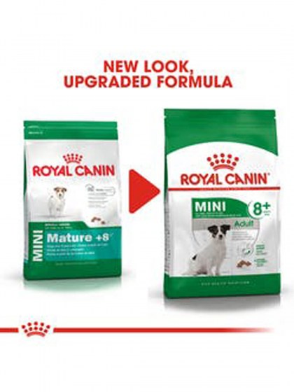 SHN MINI ADULT 8+_web6